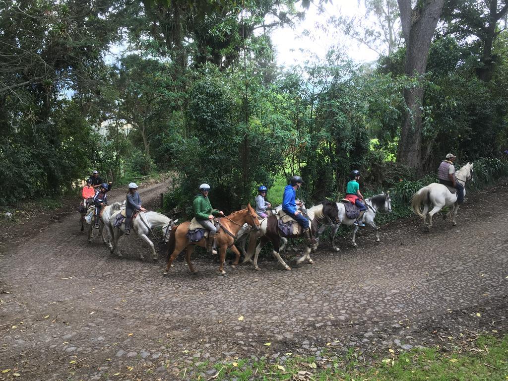 Hacienda La Alegria Hotel ภายนอก รูปภาพ